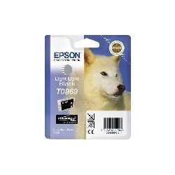 EPSON CARTUCHO TINTA T0969...