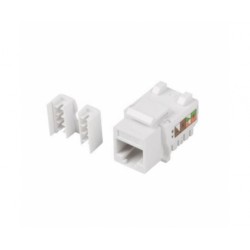 CONECTOR KEYSTONE LANBERG...