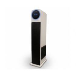 ALTAVOZ TORRE NINA 60W...