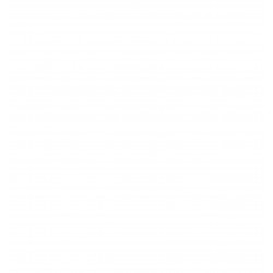 PIXEL TF-361 PAWN WIRELESS...