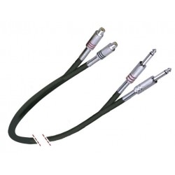 Cable 2 RCA hembra/2 Jack...