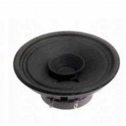 Altavoz amplia gama de 5' 8W