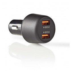 Cargador Coche 2P Carga...