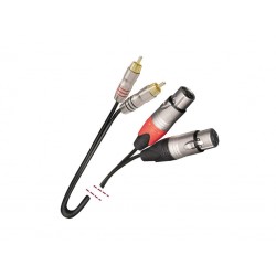 Cable 2 x RCA - 2 x XLR...