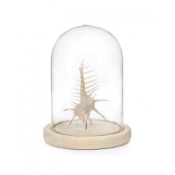 KIKKERLAND OR84-L Cristal...