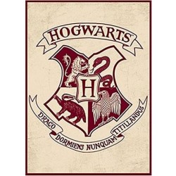 HARRY POTTER Iman Metalico...