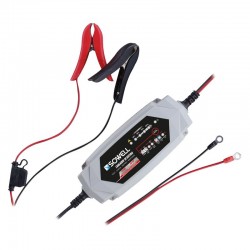 CARGADOR DE BATERIA 12/24V...