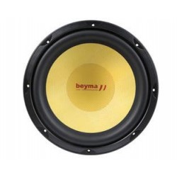 Altavoz de 12' serie Sound...