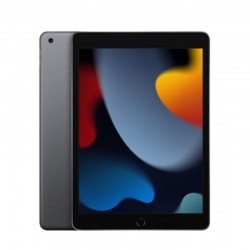 Apple Tablets MK2K3TY/A