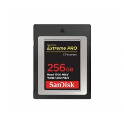 SanDisk Memoria flash 256...