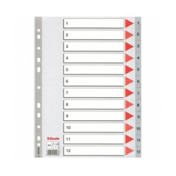 Esselte Plastic indexes