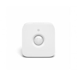 Philips Hue Motion sensor