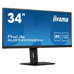 iiyama ProLite...