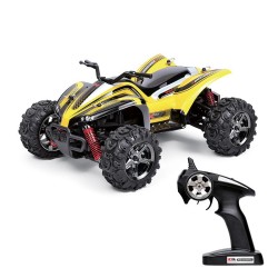 BUGGY RACING A CONTROL...