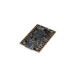 Placa de desarrollo...