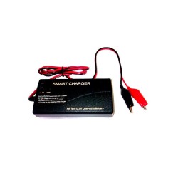 Cargador baterias plomo...