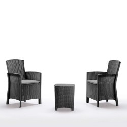 SET DE JARDIN 2 SILLONES +...