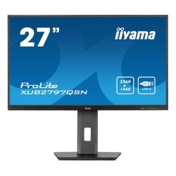 iiyama ProLite...