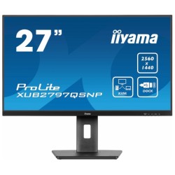 iiyama ProLite...