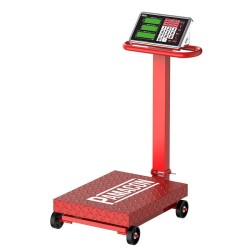 BASCULA INDUSTRIAL CON...