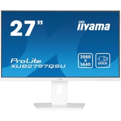 iiyama ProLite...