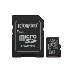 Kingston Technology 256GB...