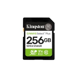 Kingston Technology 256 GB...