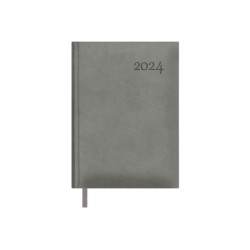 DOHE 12736-24 Agenda diaria...