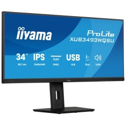 iiyama ProLite...