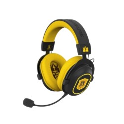 Blade Kings League Gaming...