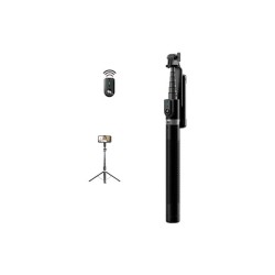 PACIFICO Palo Selfie...