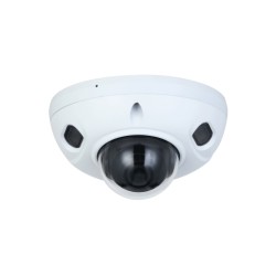 Dahua Technology WizSense...