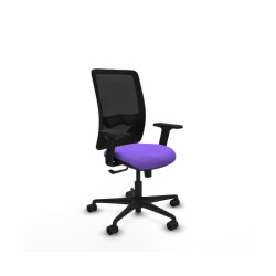 Piqueras y Crespo Zulema...