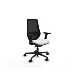 Piqueras y Crespo Mardos...