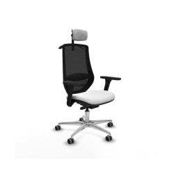 Piqueras y Crespo Mardos...