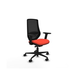 Piqueras y Crespo Mardos...