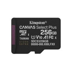 Kingston Technology 256GB...