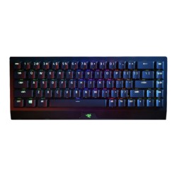 Razer BlackWidow V3 Mini...