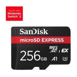 SanDisk Express 256 GB...