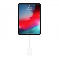 Apple Adaptador de USB-C a Lector de Tarjetas SD